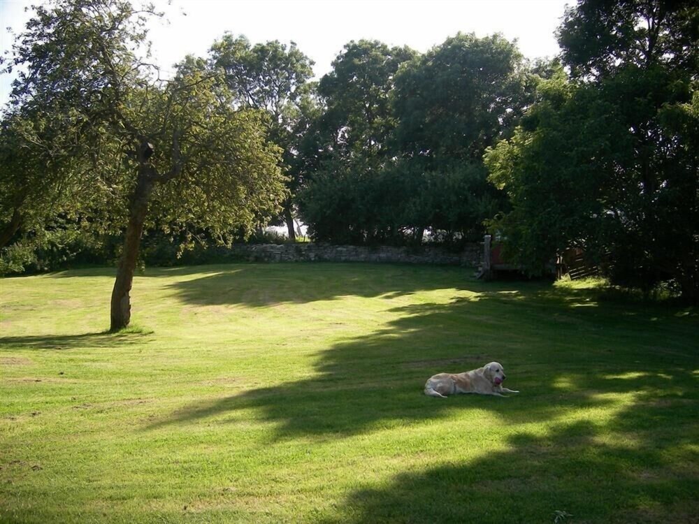 Coombe Orchard view 4