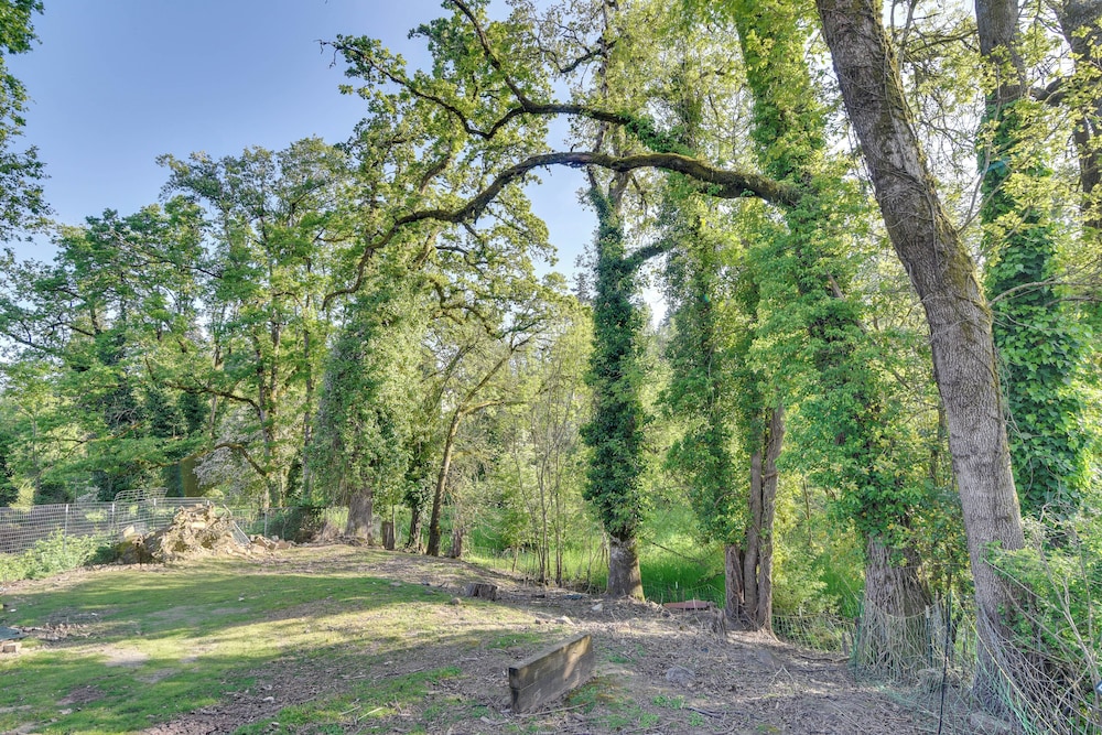 Walk to Dtwn Milwaukie: Family Gem w/ Creek Access