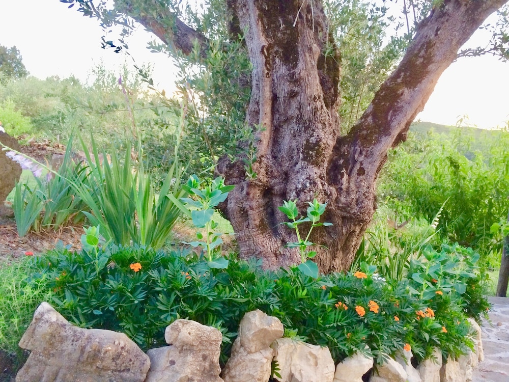 Photo 25