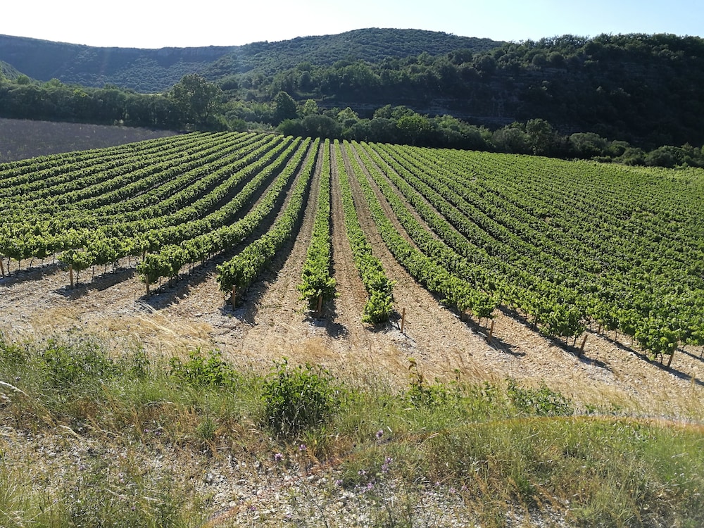 MONLOUBIER view 5