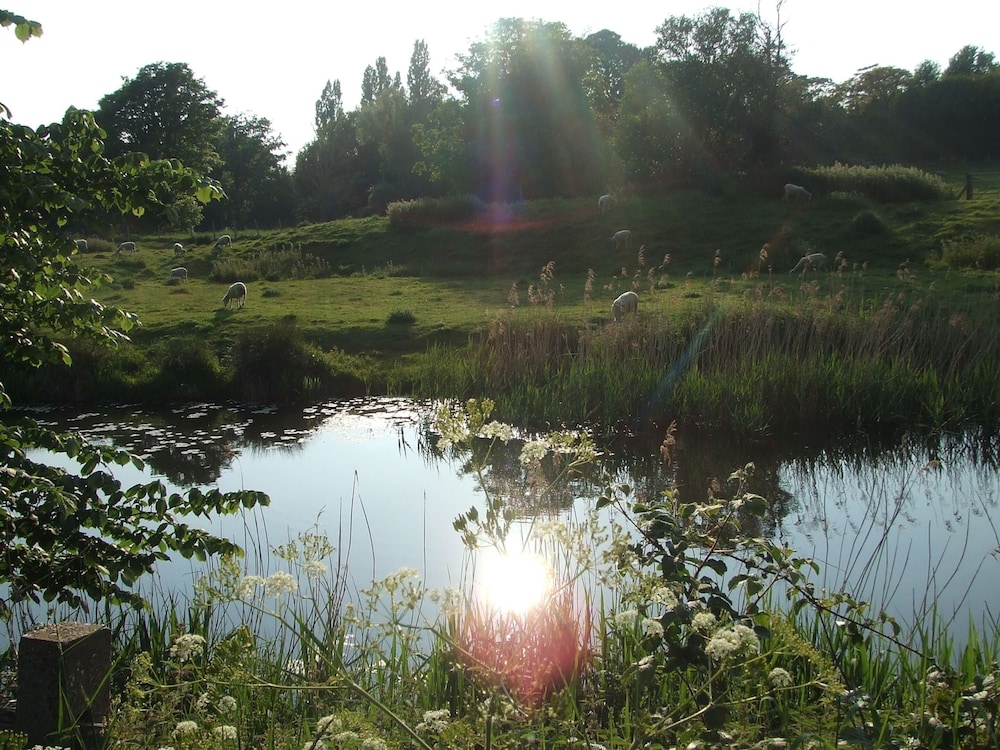 Photo 44