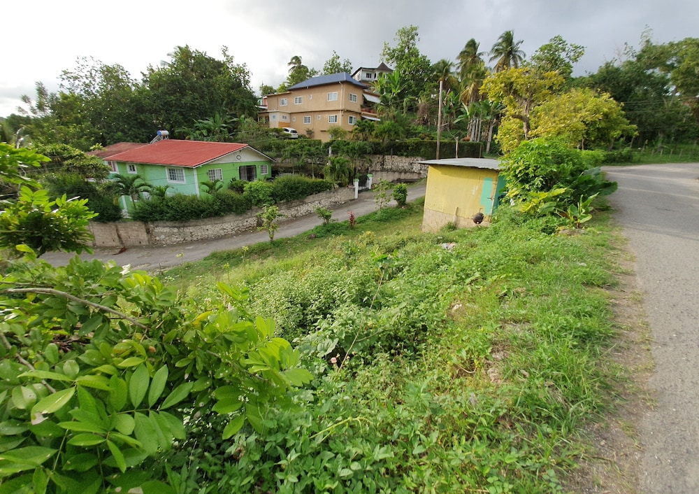 Photo 13