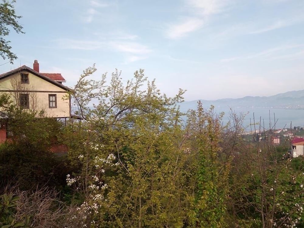 Zaga Konagi, photo 17