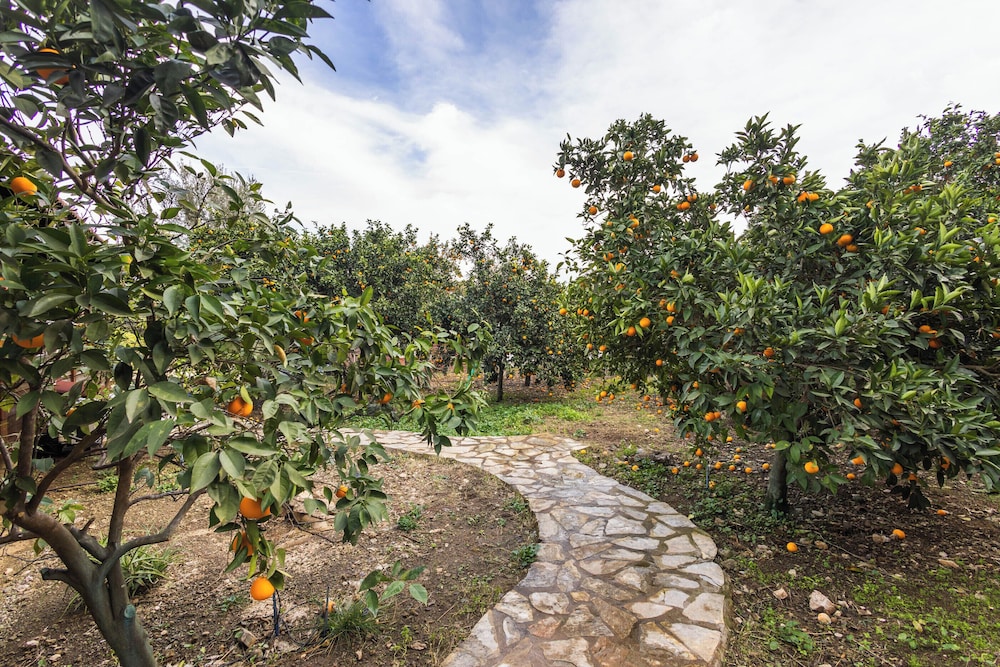 Tatil Evi Dilek Çıralı