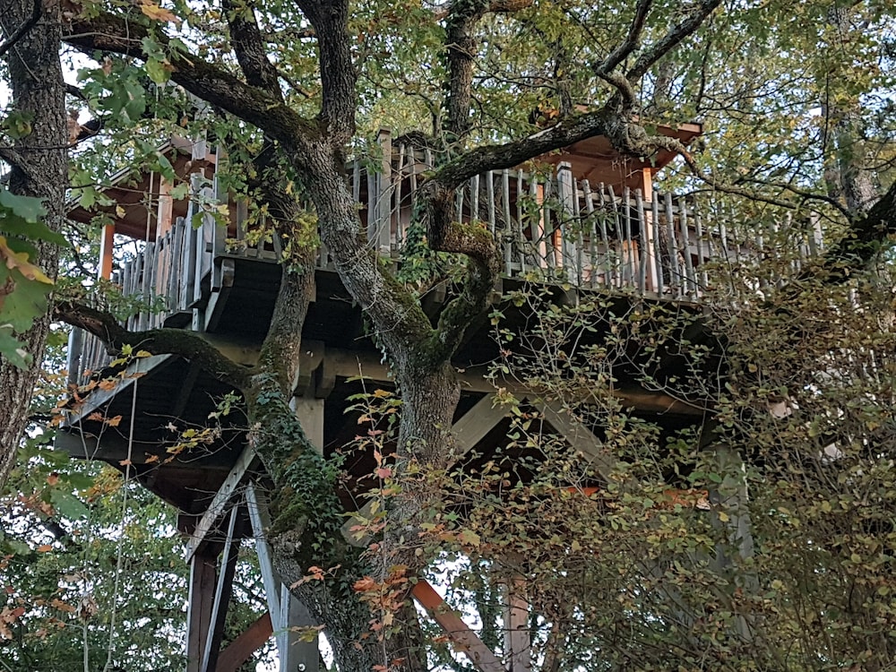 Arbrakabane - Property Image 29