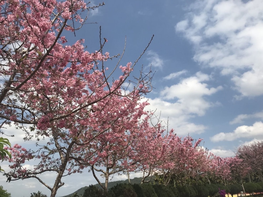 Ji-Ye leisure land