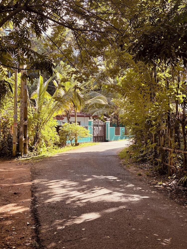 Jungle Breeze