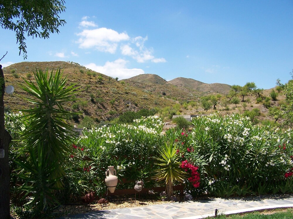 Photo 40