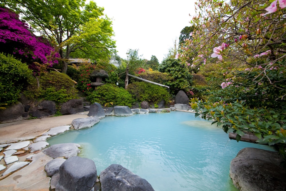 Okamotoya Ryokan