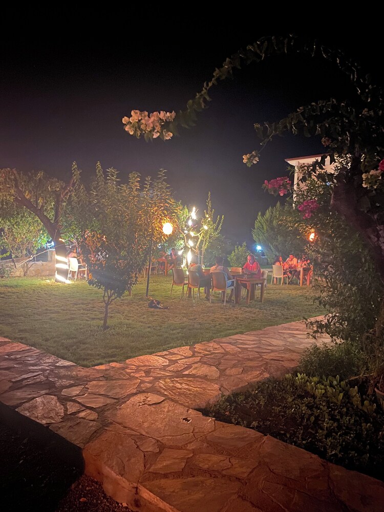 Photo 41