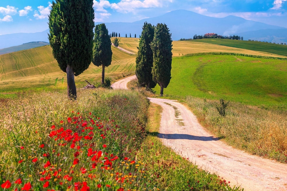 Podere Osteria With Pool Close to Pienza view 4