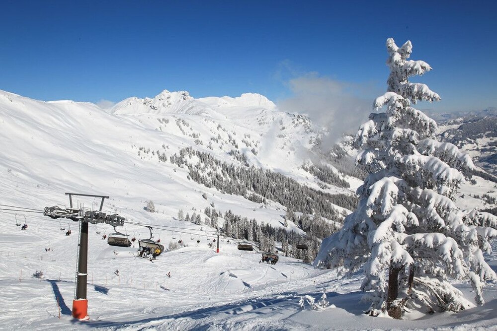 Alpenklang Hotel & Berggasthaus