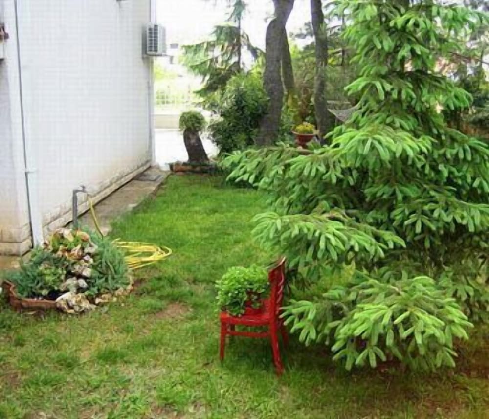 Photo 14