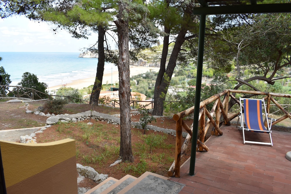 Photo 47