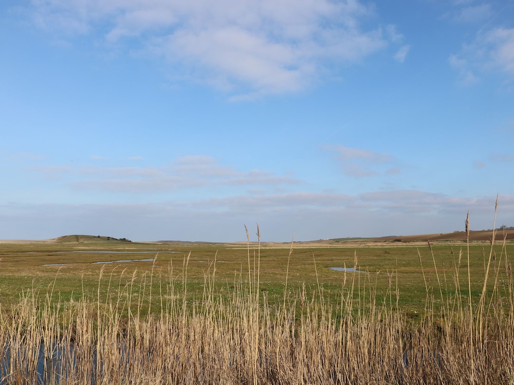 Seaview Cottage