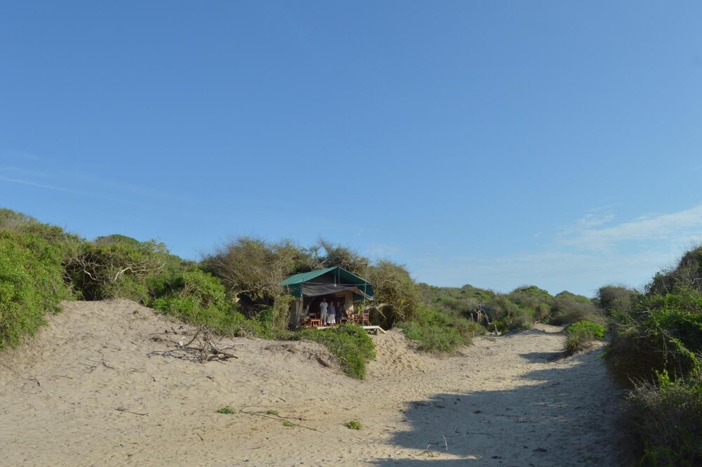 Back of Beyond Dune Camp - Yala