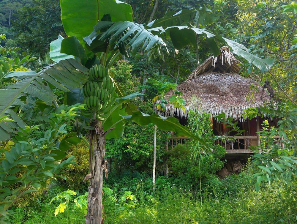 Thai House Pu Luong
