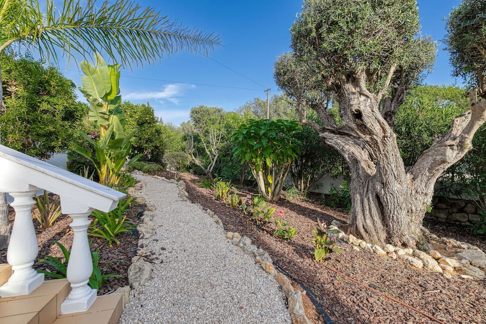 Toupeira Wonderful Well Furnished Villa