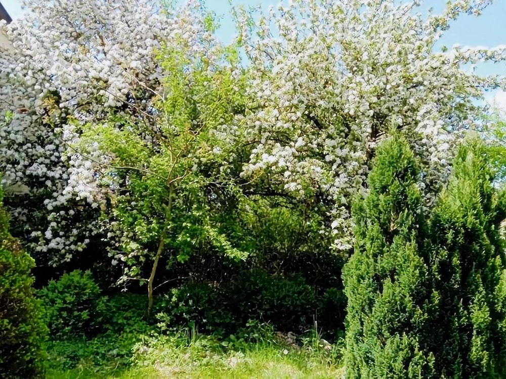 Eifel Garden Villa for Groups