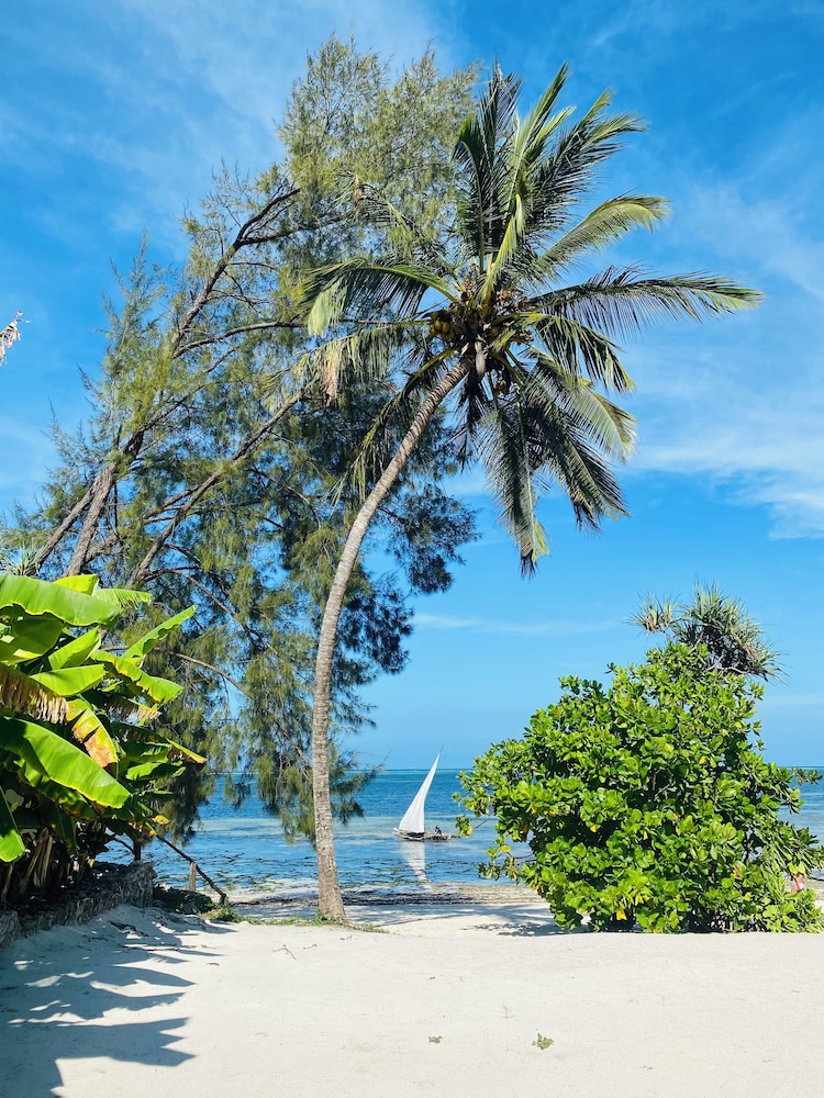 Luxury Lions Villas Zanzibar - with Private Cook&Infinity Pools