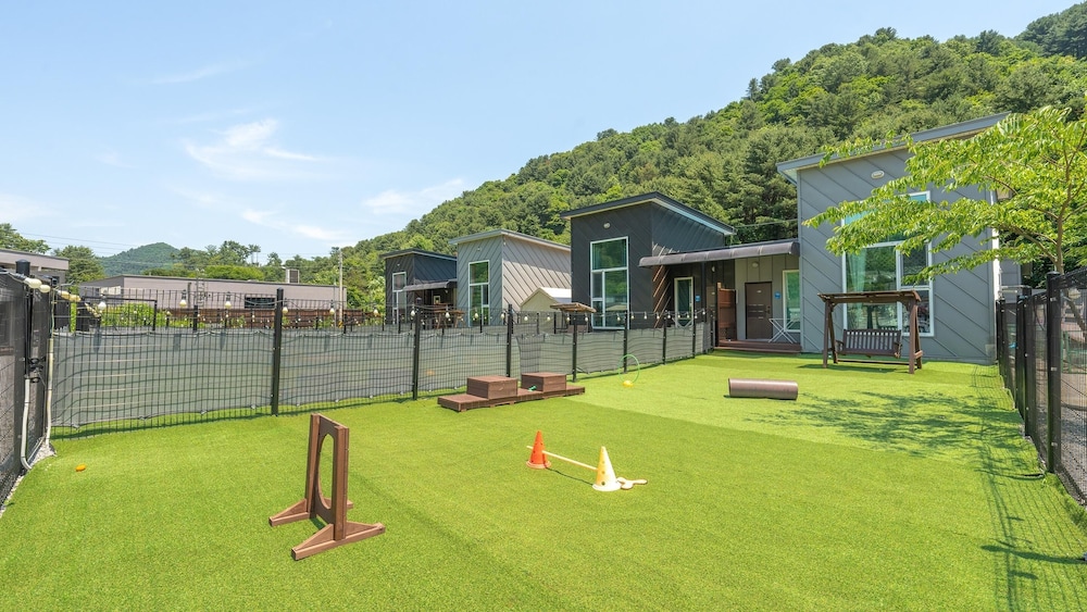 Gapyeong Dingdongdaeng Pet&spa Poolvilla view 2