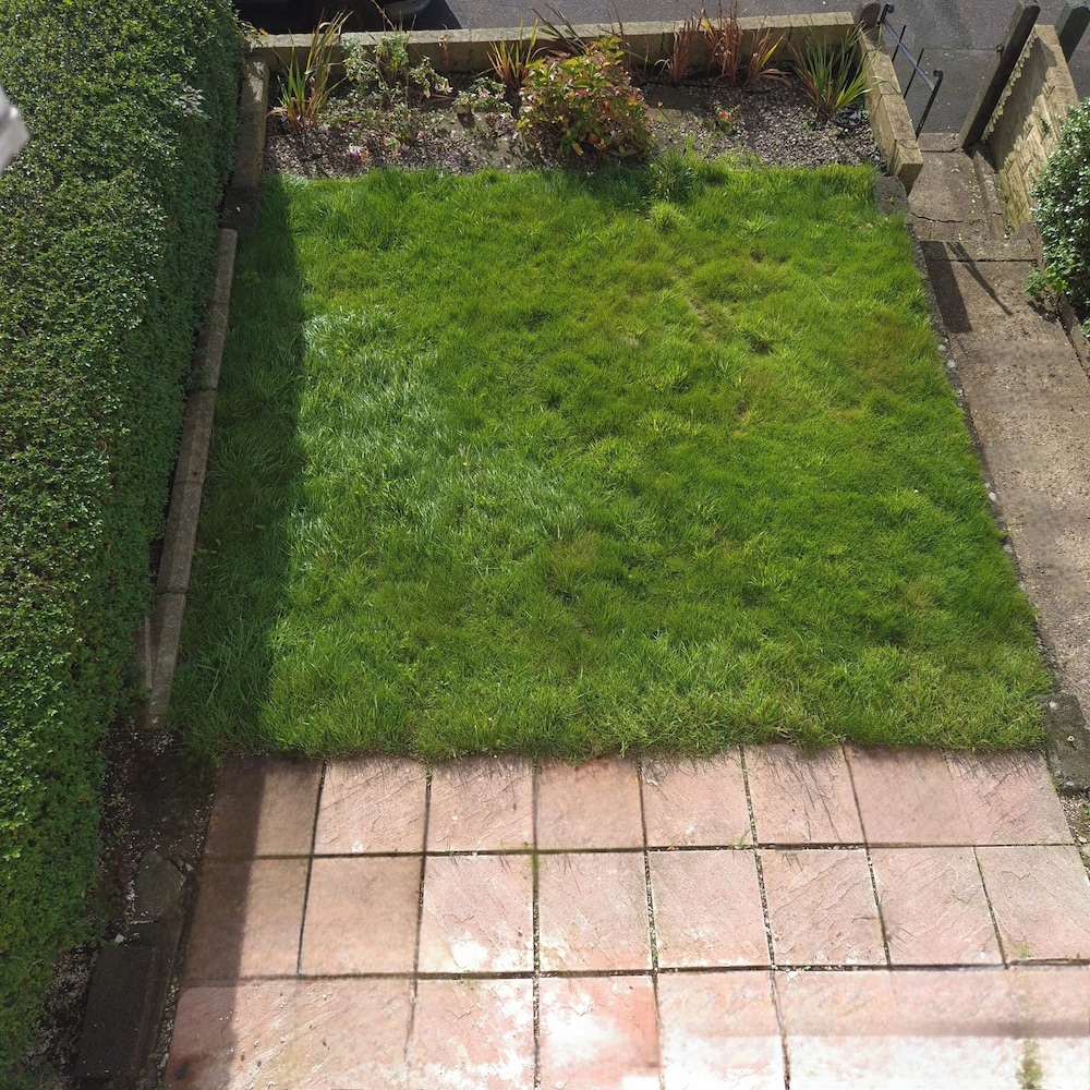 Swansea Serenity Retreat-3 bed House-large Garden