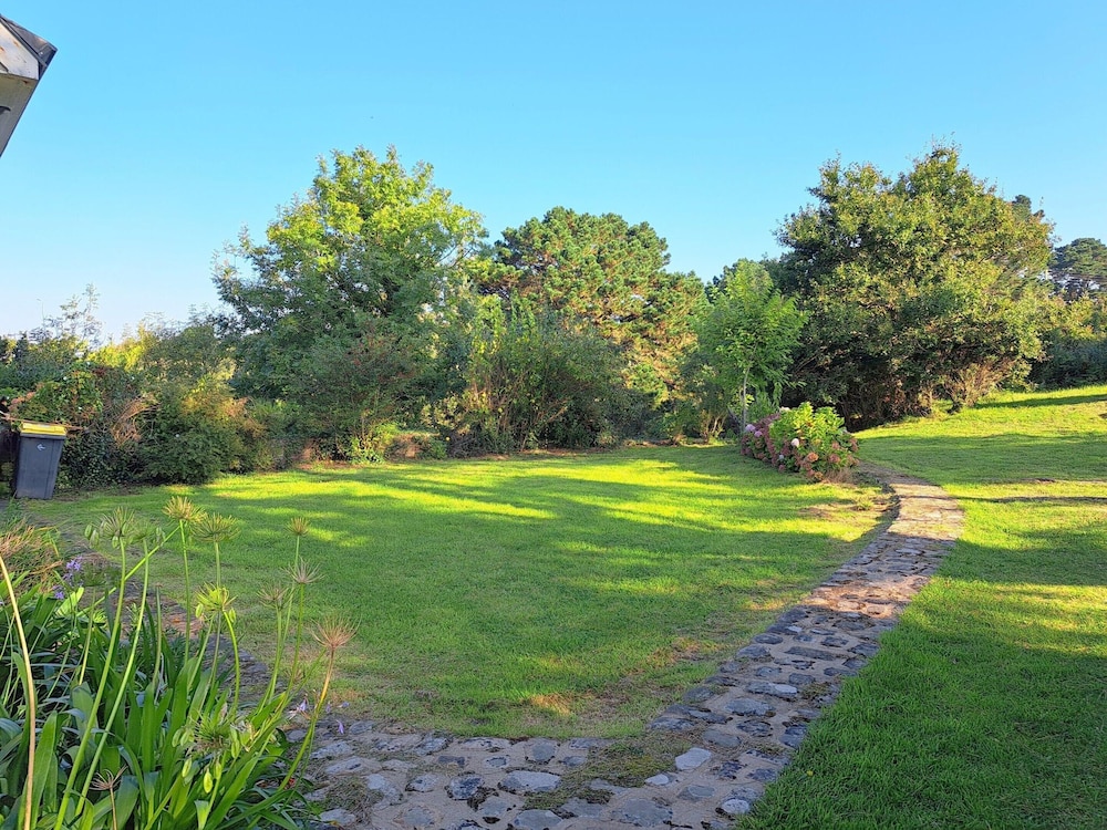 Photo 23
