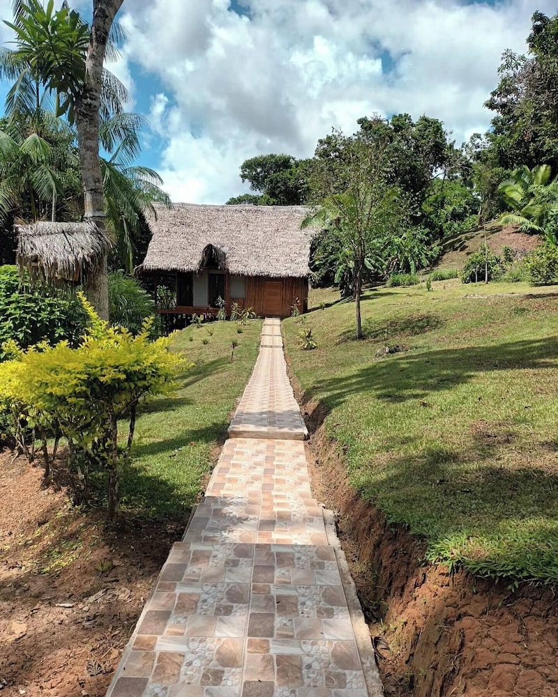 Flower of Life ayahuasca Healing Center