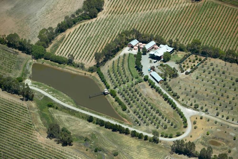 Patly Hill Farm
