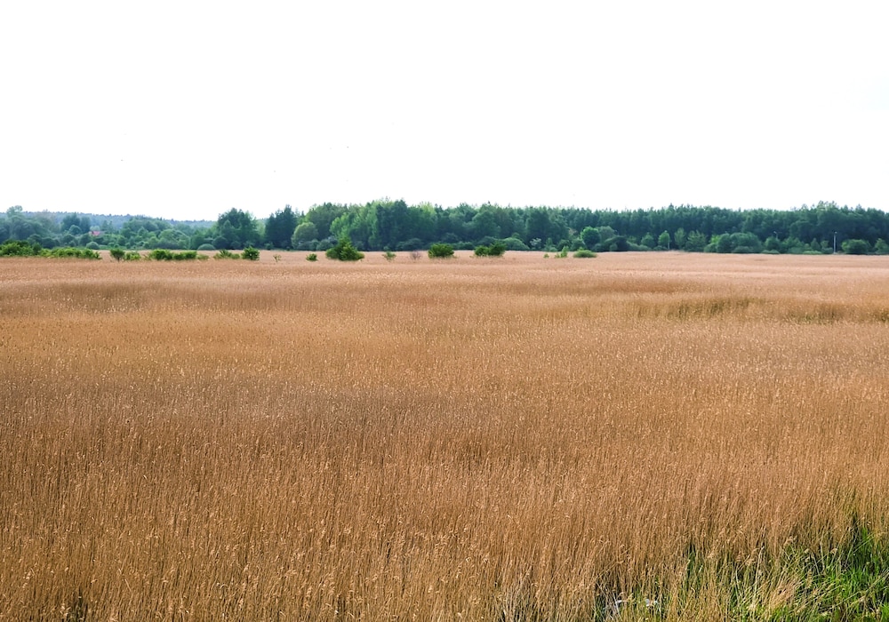 Westin Koralowa 15 Kołobrzeg - 365PAM