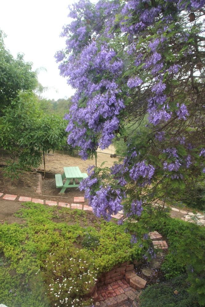 Sandra D's Country Guest House
