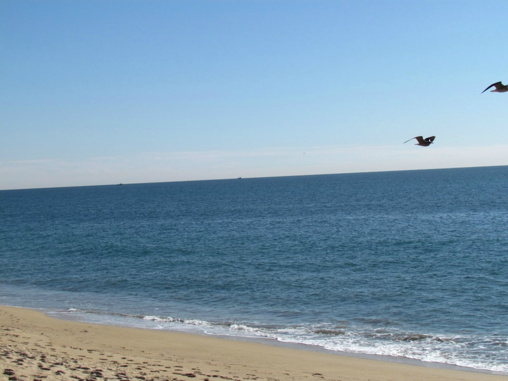 3 Bedroom Duplex with Ocean View
