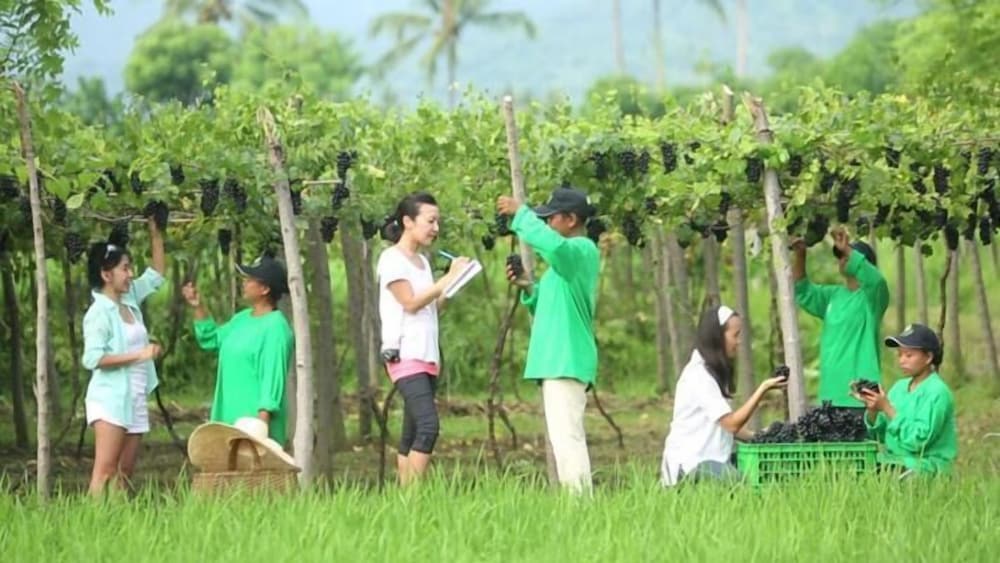 Photo 40