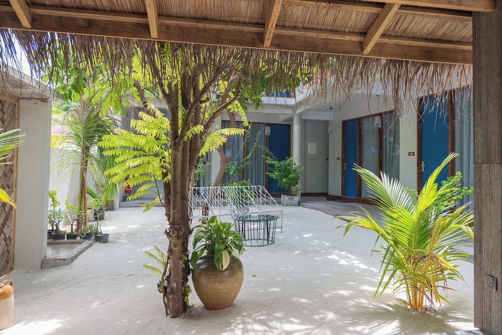 The Palm Ray photo 2