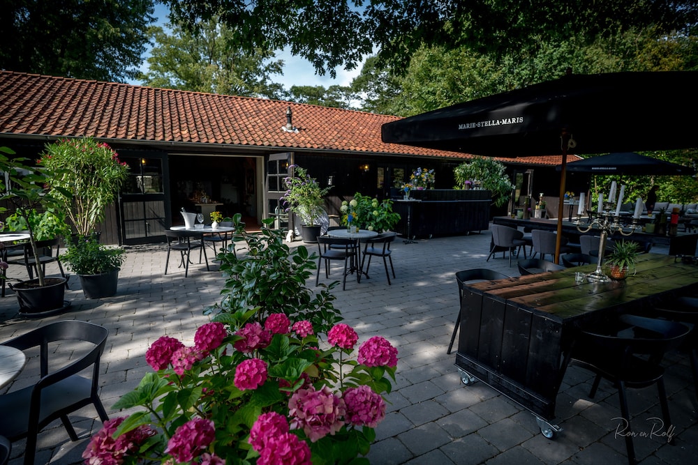 Hoeve de Haar B&B&More