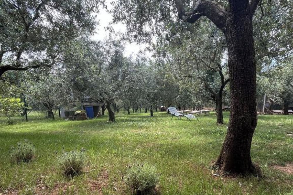 Casa Oliva Kim Marie