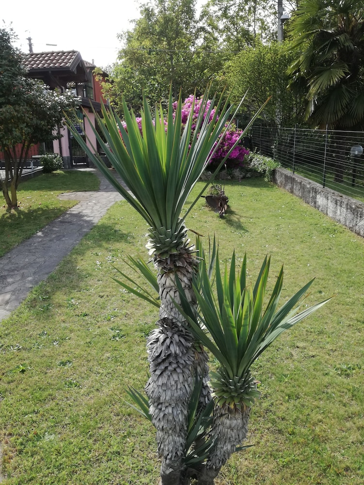 Villa Rosy B&B