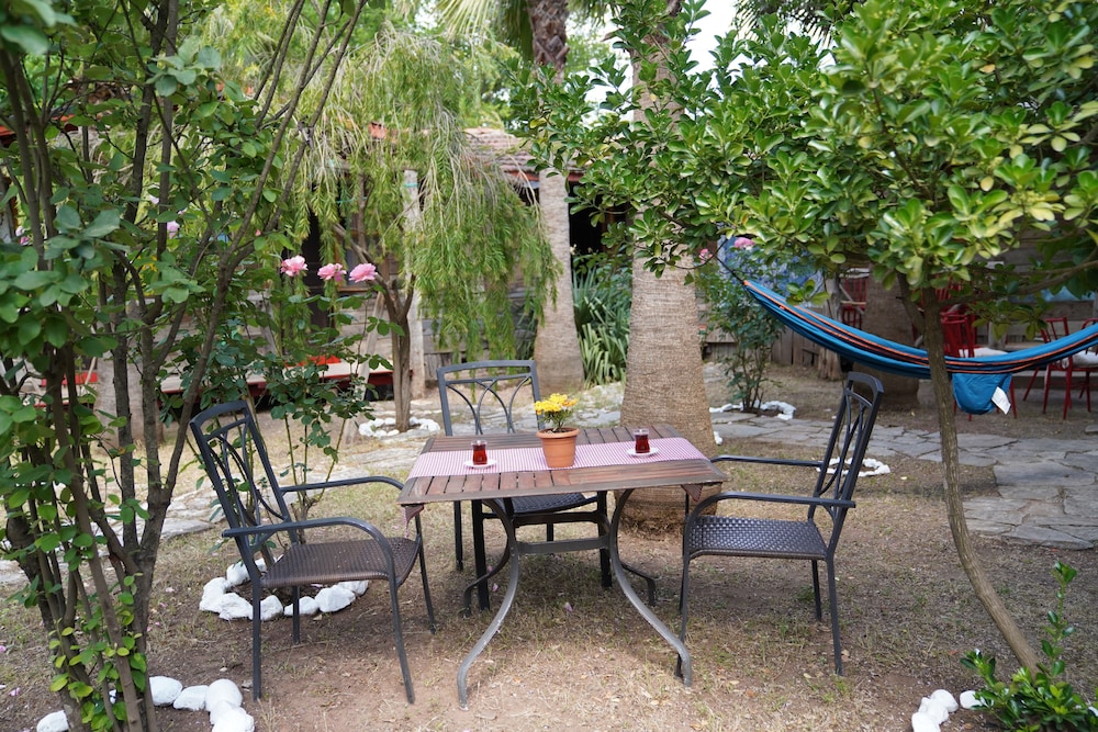 Photo 12