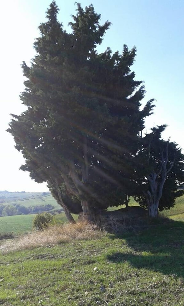 Photo 46