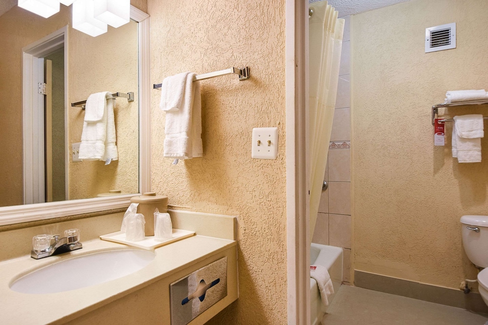 Tampa Vacations - Econo Lodge Busch Gardens - Property Image 7