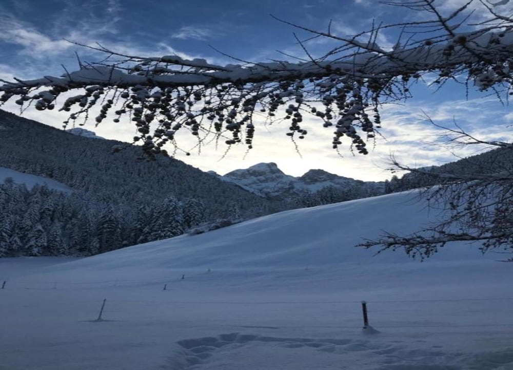 Luxurious Alpine Flat With Hotel Amenities
