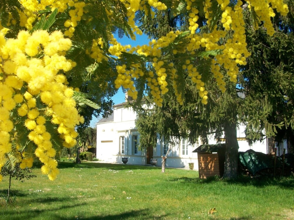 Gîte Domaine les Massiots