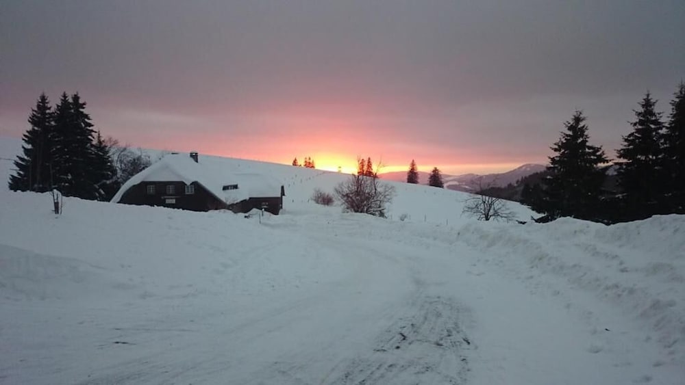 Berggasthaus Gisiboden view 4