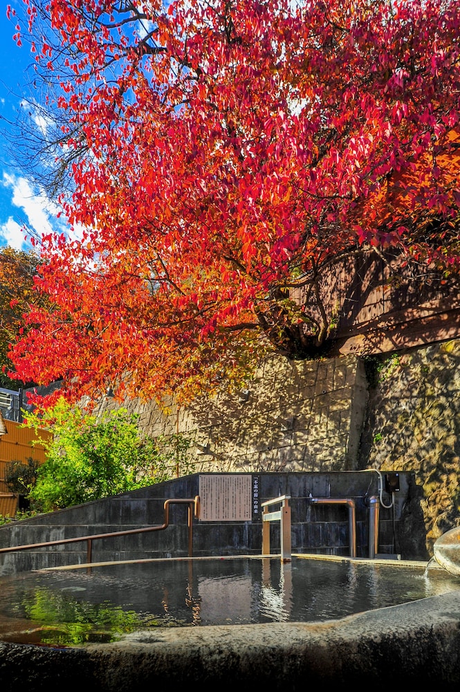 Akayu Onsen Gotenmori