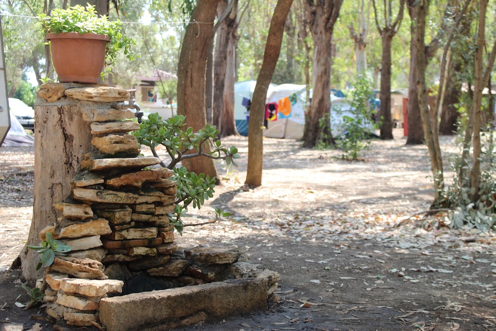 Village Camping Fico d'India view 5