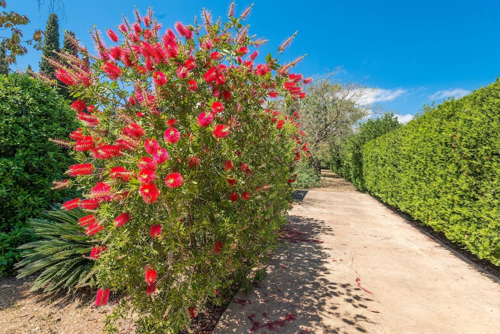 Villa in Campanet With Private Pool & Tennis