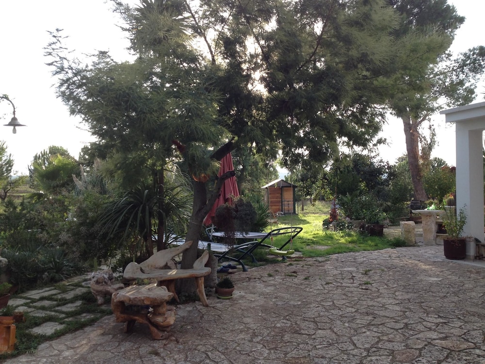 Photo 23