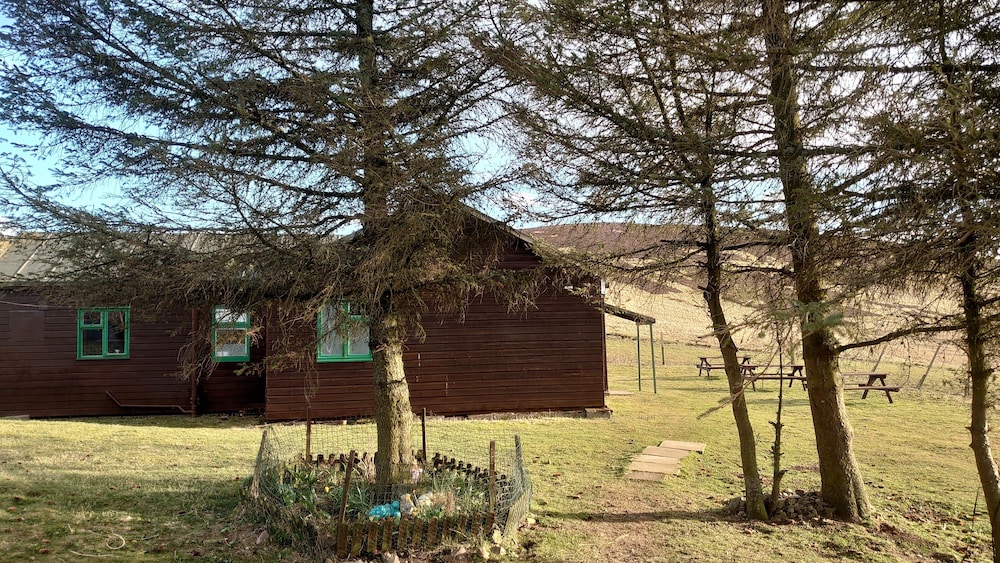 Photo 26
