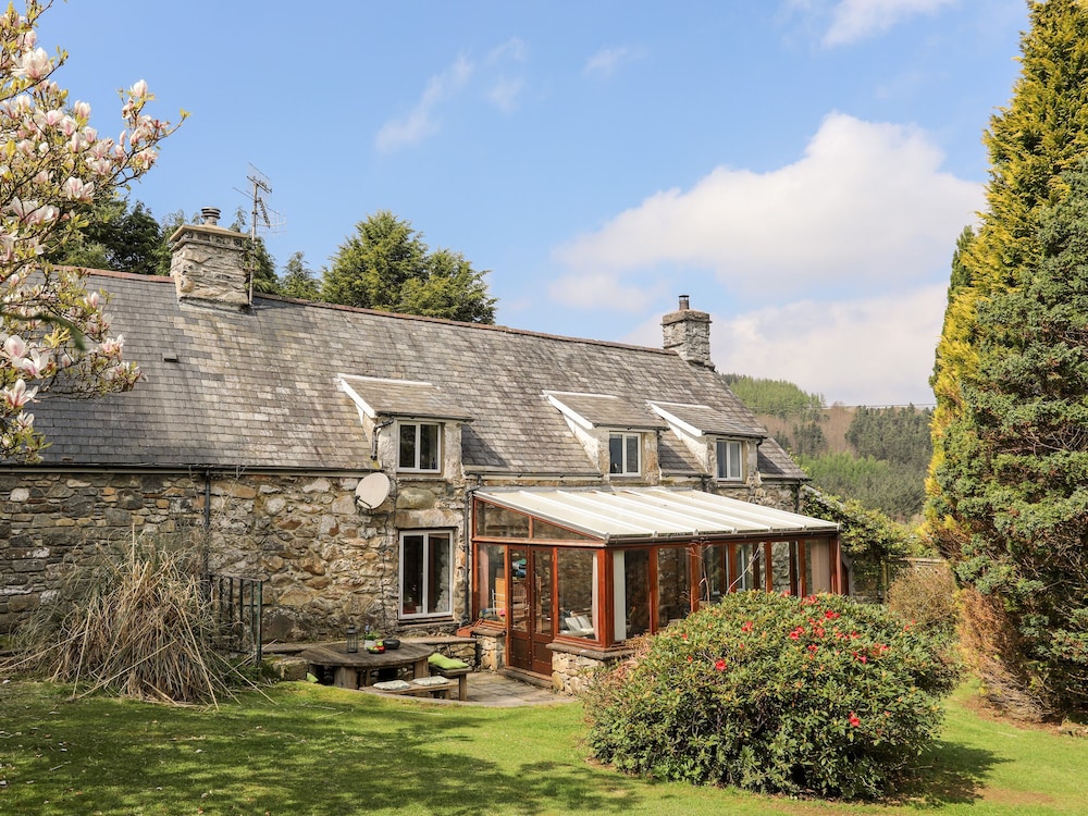 Gilfachwydd