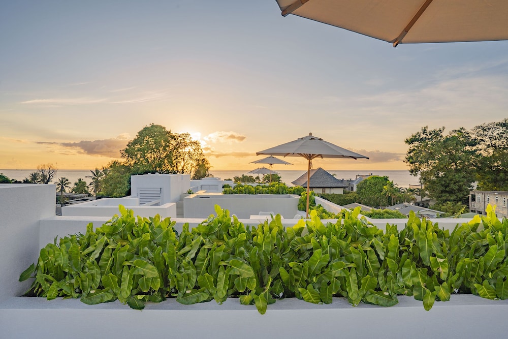 Hotel Palm Grove Villas & Hotel - Image 1